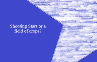 Shooting Stars or a field of crops?